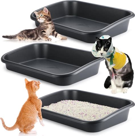 litter box with low entry